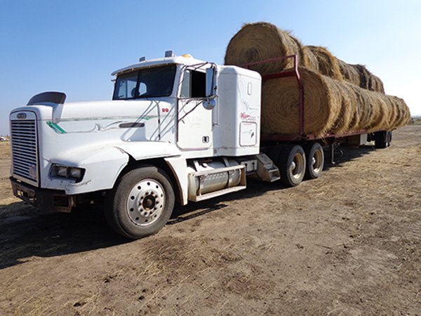 EQUIPMENT AUCTION - WILDER BUFFALO RANCH IN CORSON COUNTY